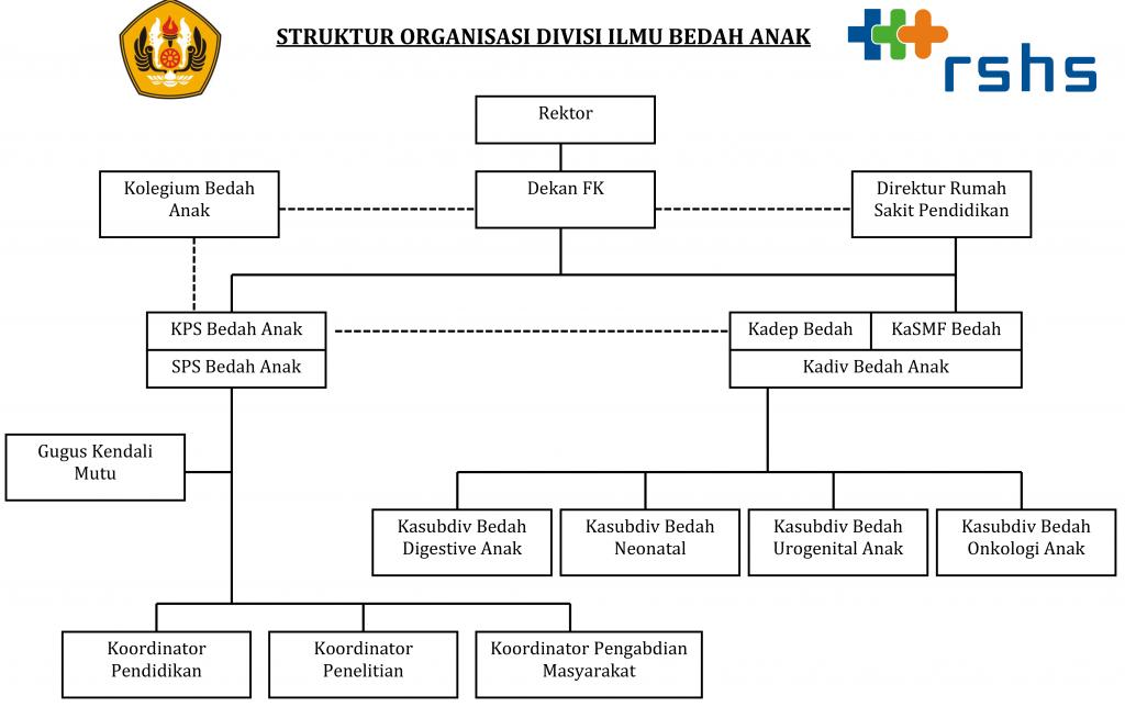 Struktur Organisasi Bedah Anak